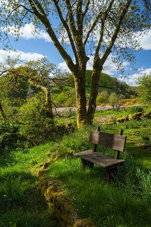 Wydemeet Bed and Breakfast Yelverton Exteriör bild